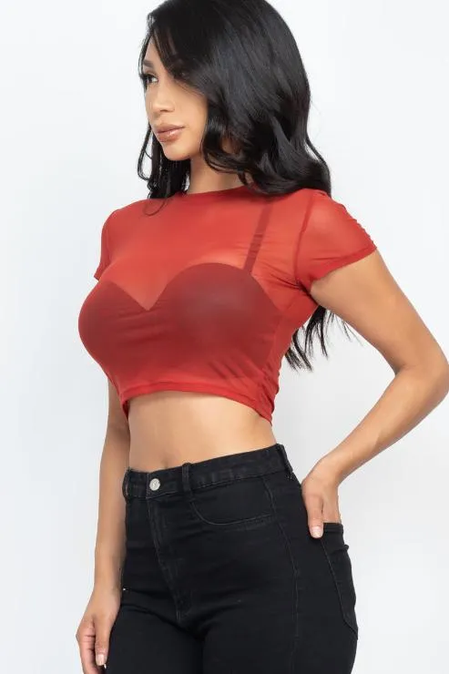 Sexy Mesh Sheer Short Sleeve Crop Top